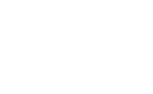 AlgoAI (LOGO)